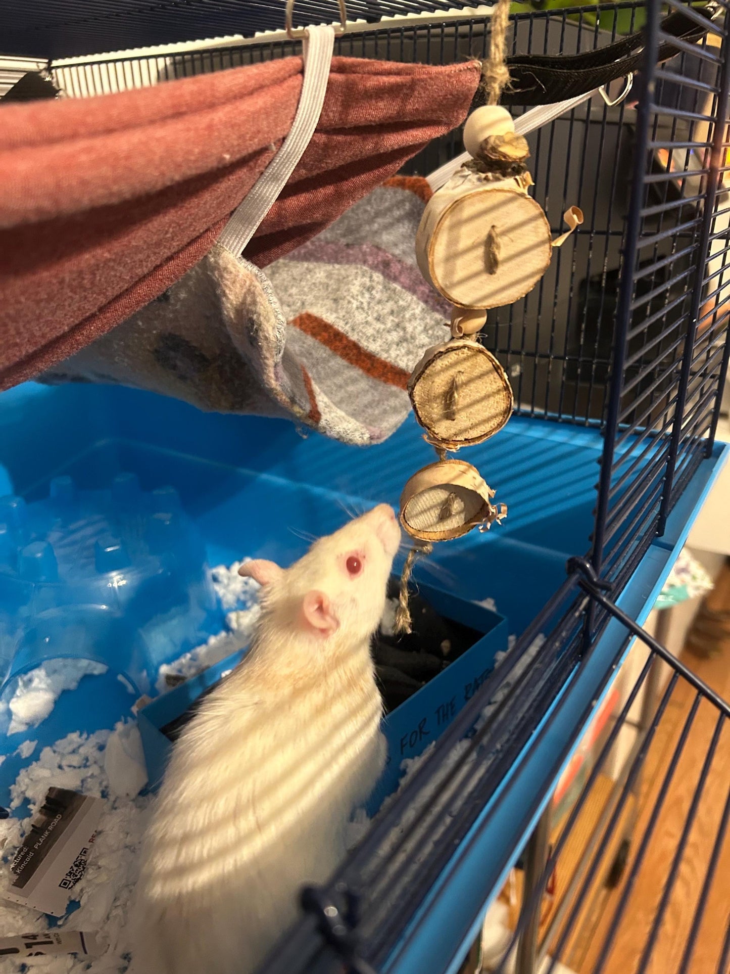 Small Animal Chew Toy