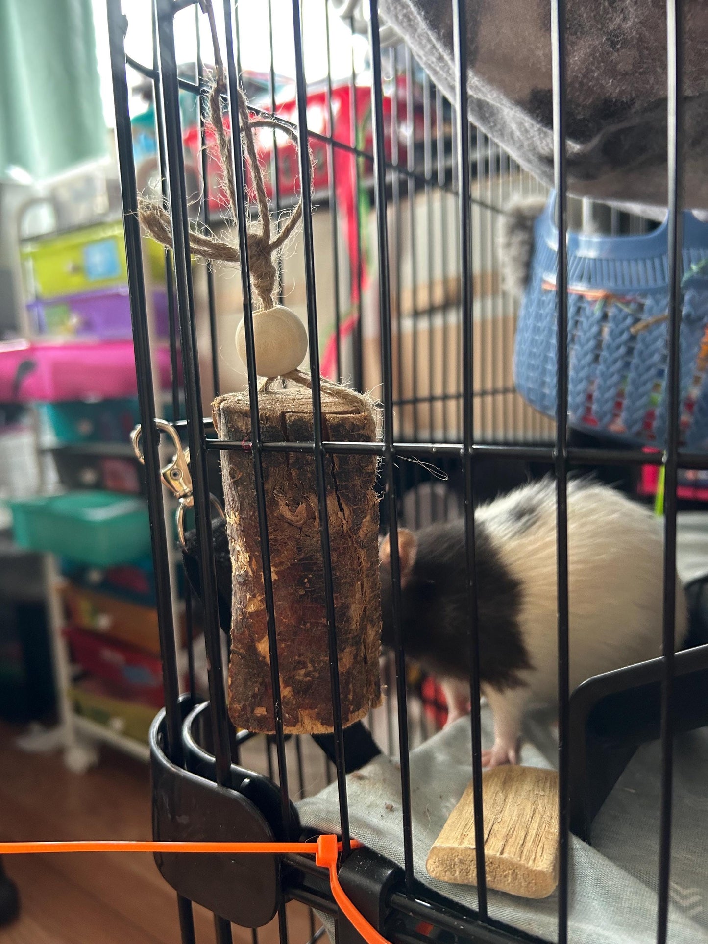 Apple Wood Chunk Chew Toy: Small Animal Cage Hanging Toy
