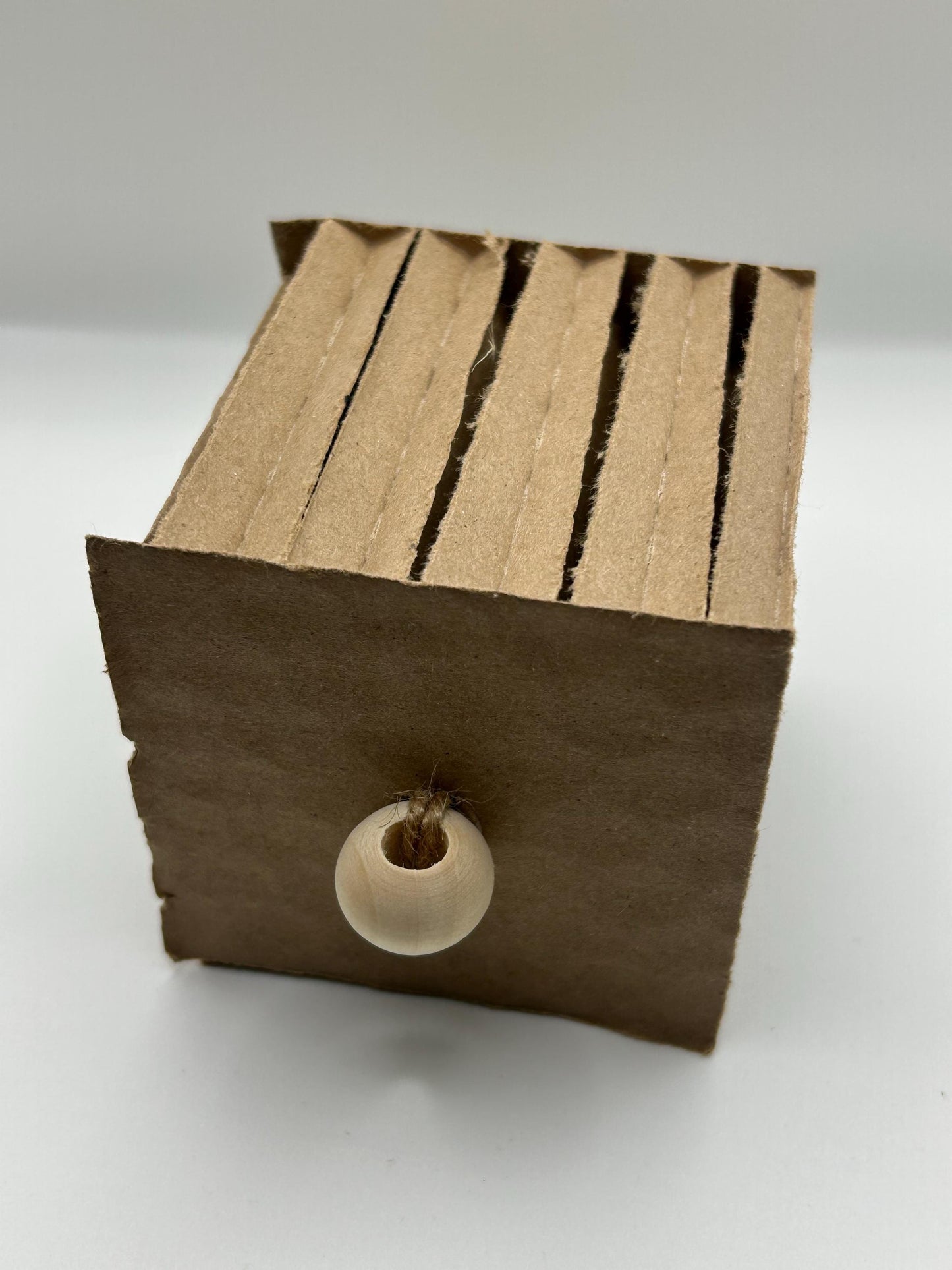 Cardboard Cube Enrichment Toy for Small Animals, natural, safe, hours of fun