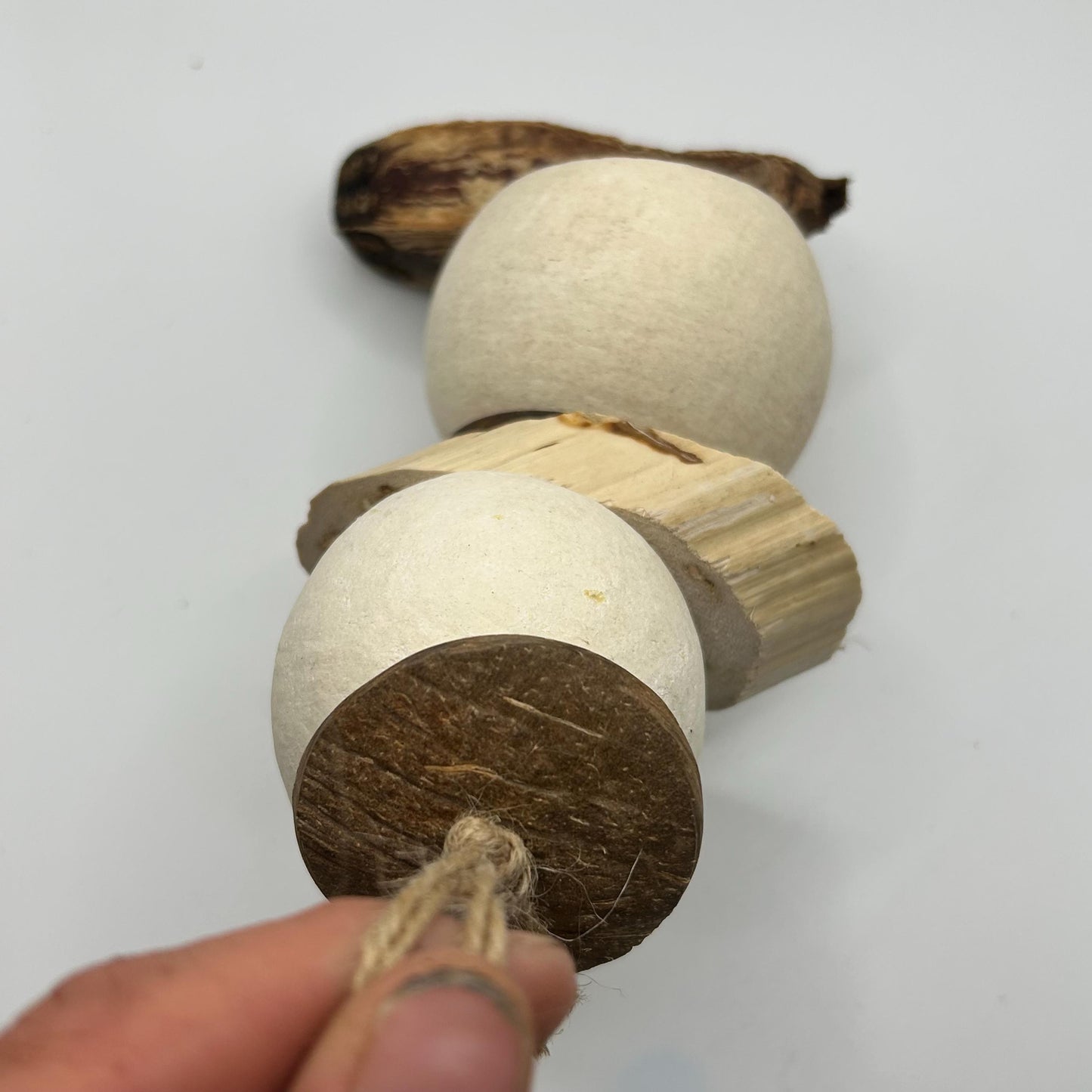 Small Animal Enrichment Toy: Coconut Shell, Yucca & Mahogany Pod