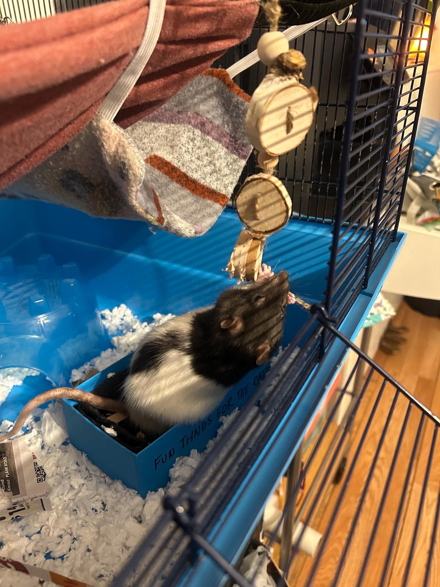 Small Animal Chew Toy