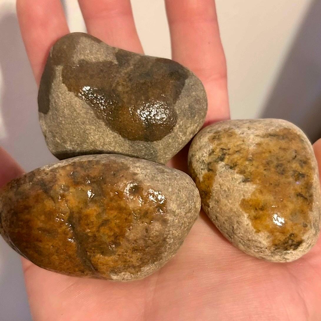 Rat Pee Rocks: Urine Training Set - Cage Enrichment (Set of 3)