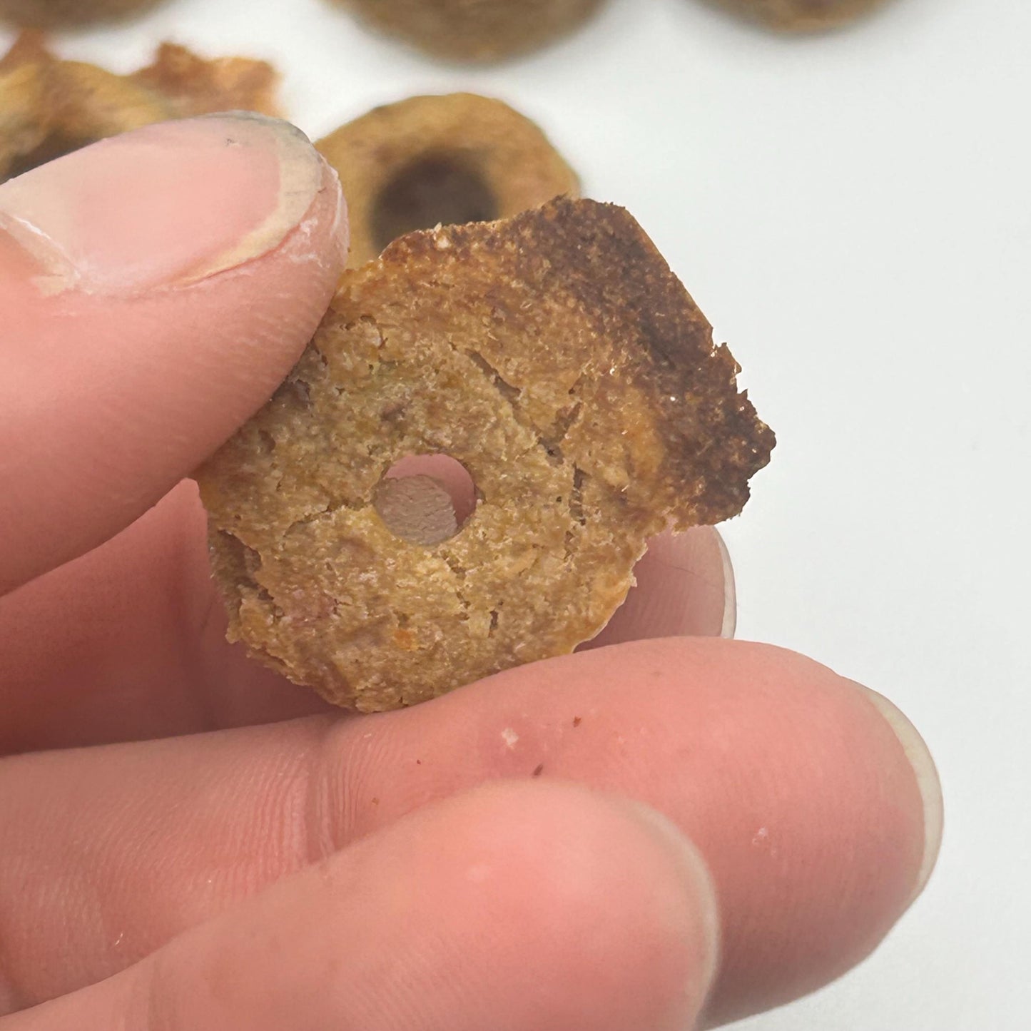 Rat Donuts: Strawberry, Peach and Oatmeal, (20 per order)