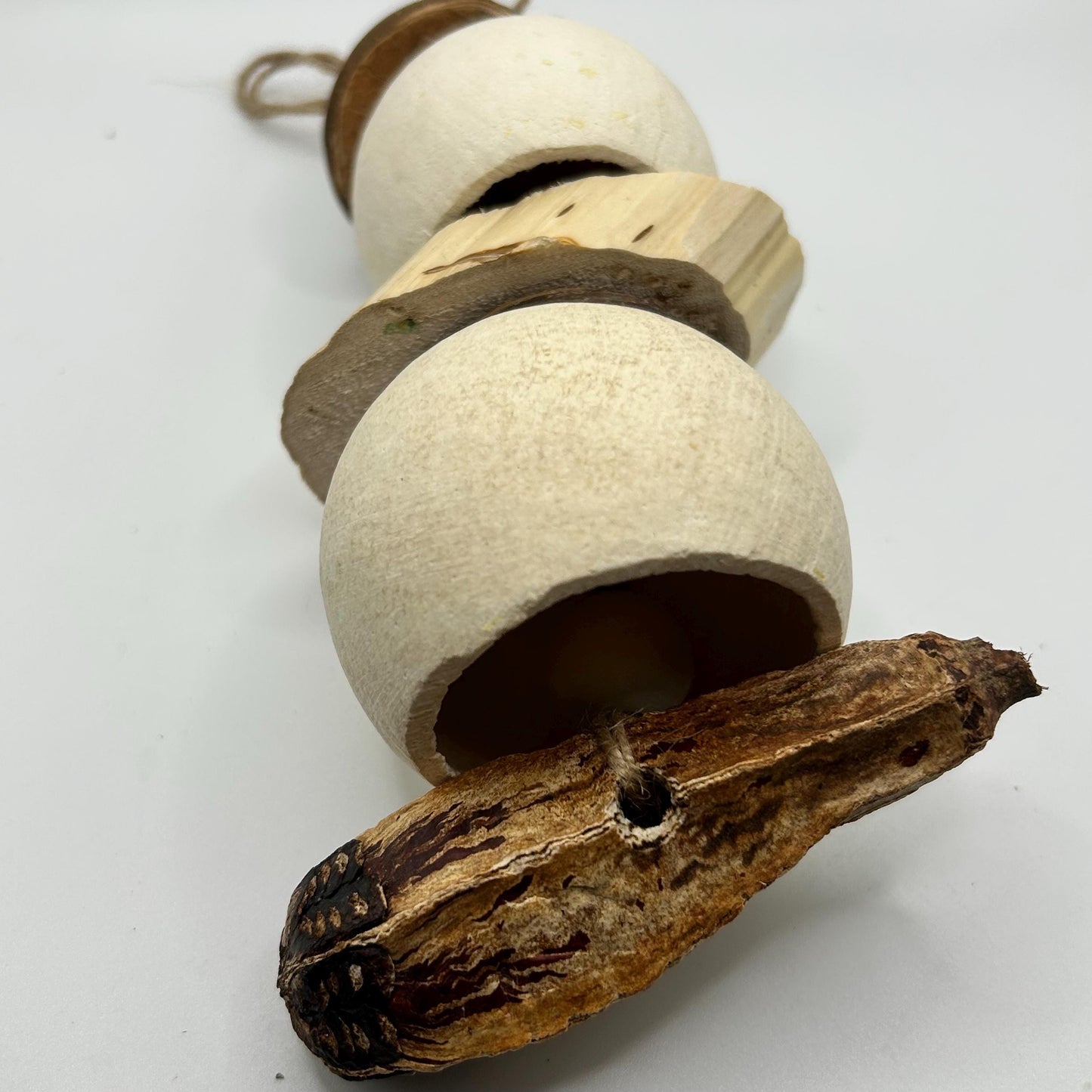 Small Animal Enrichment Toy: Coconut Shell, Yucca & Mahogany Pod