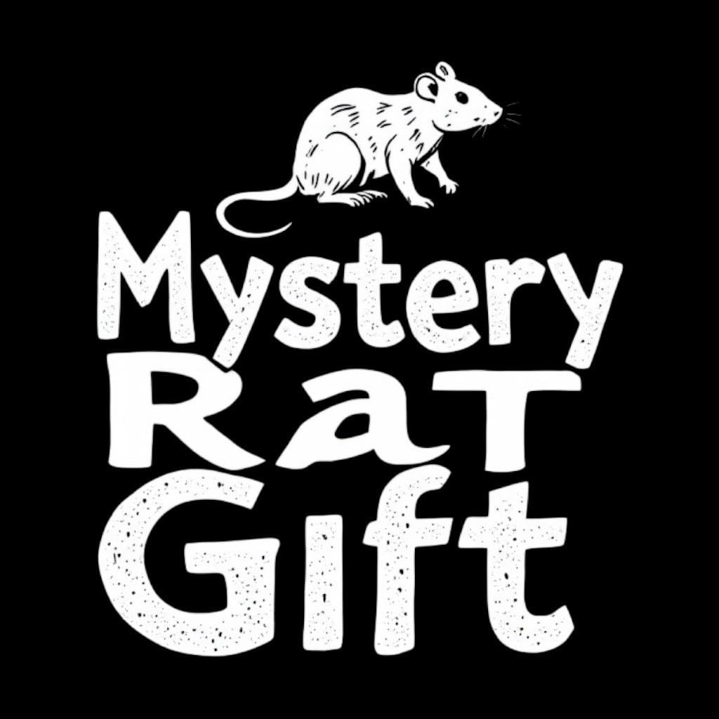 Mystery Rat Gift Box, could include toys, treats, and hammocks