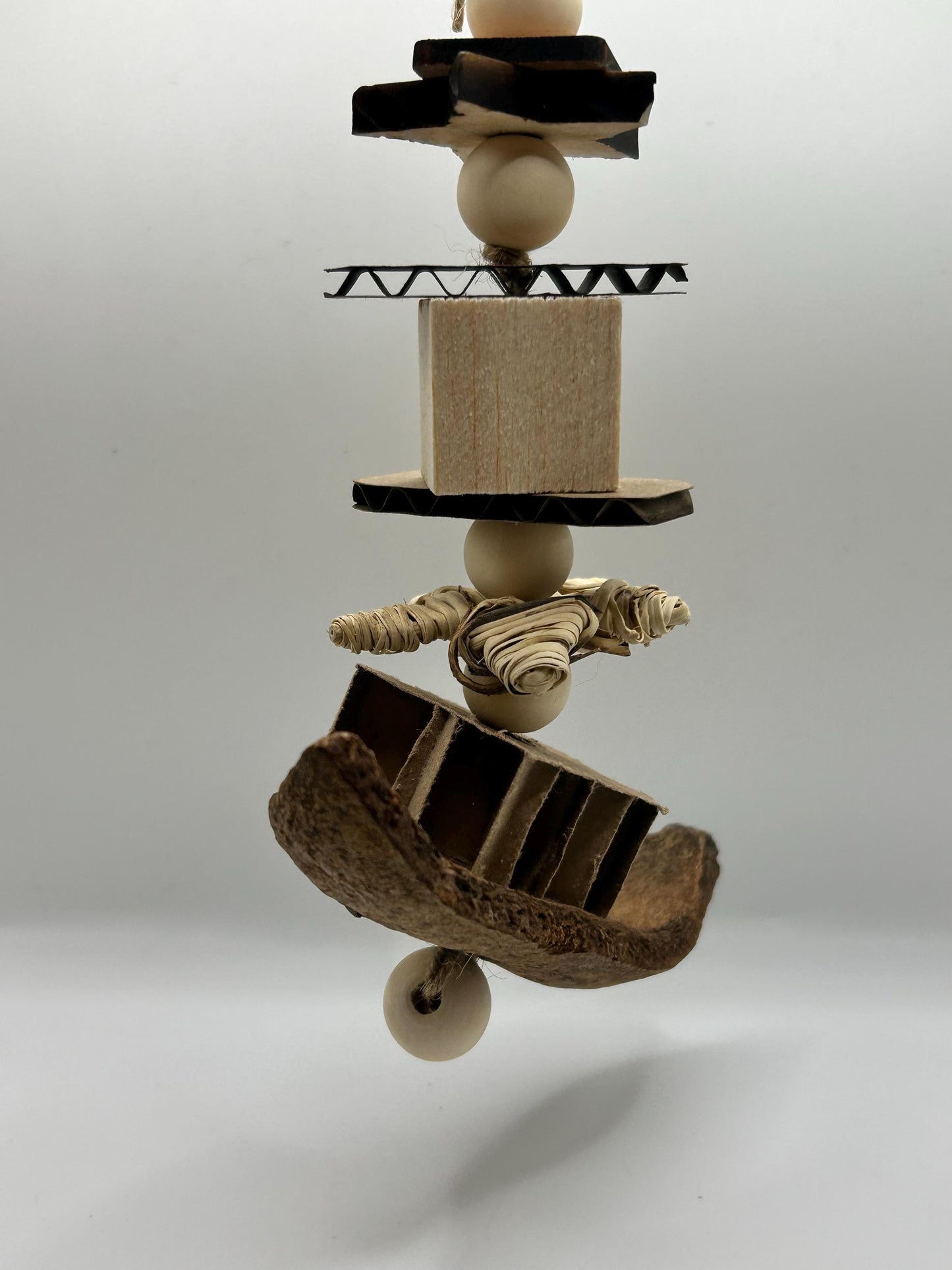 Natural Rat Enrichment Toy: Mahogany Pod, Wood & Leather Chews