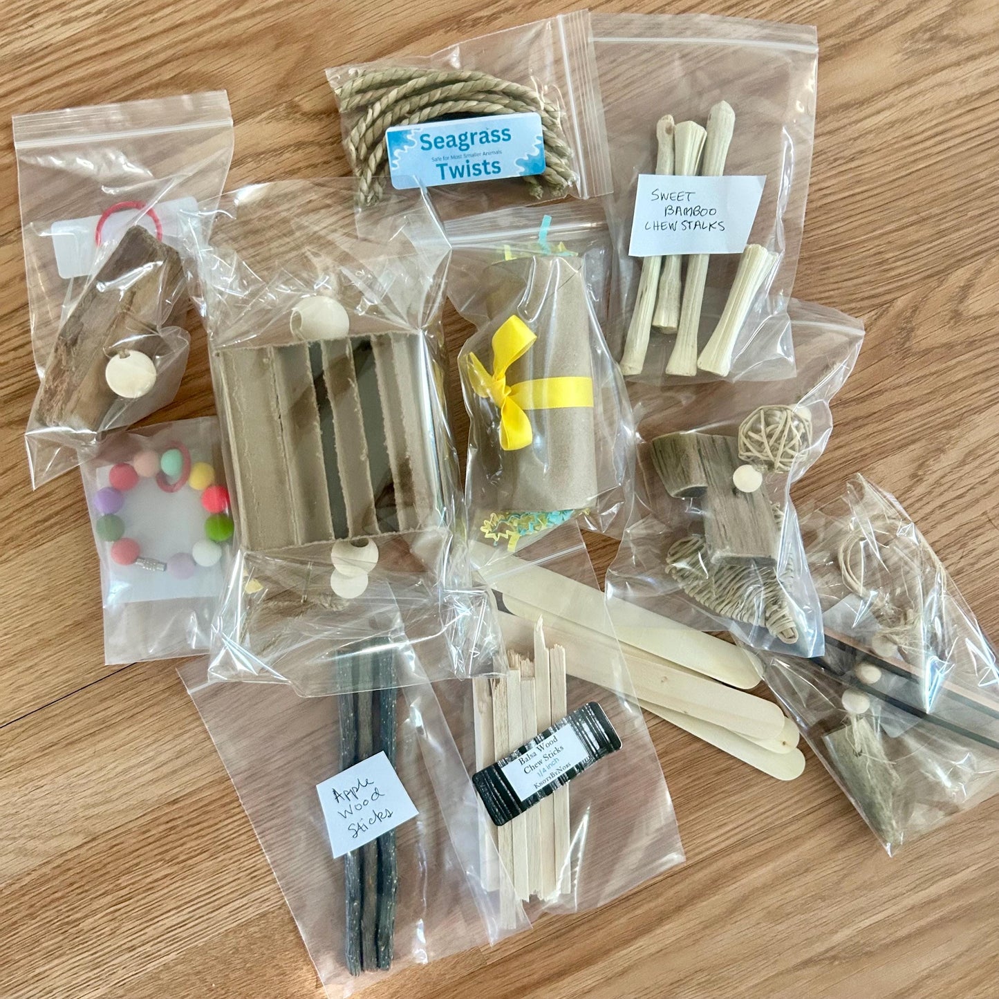 Starter Pet Rat Kit