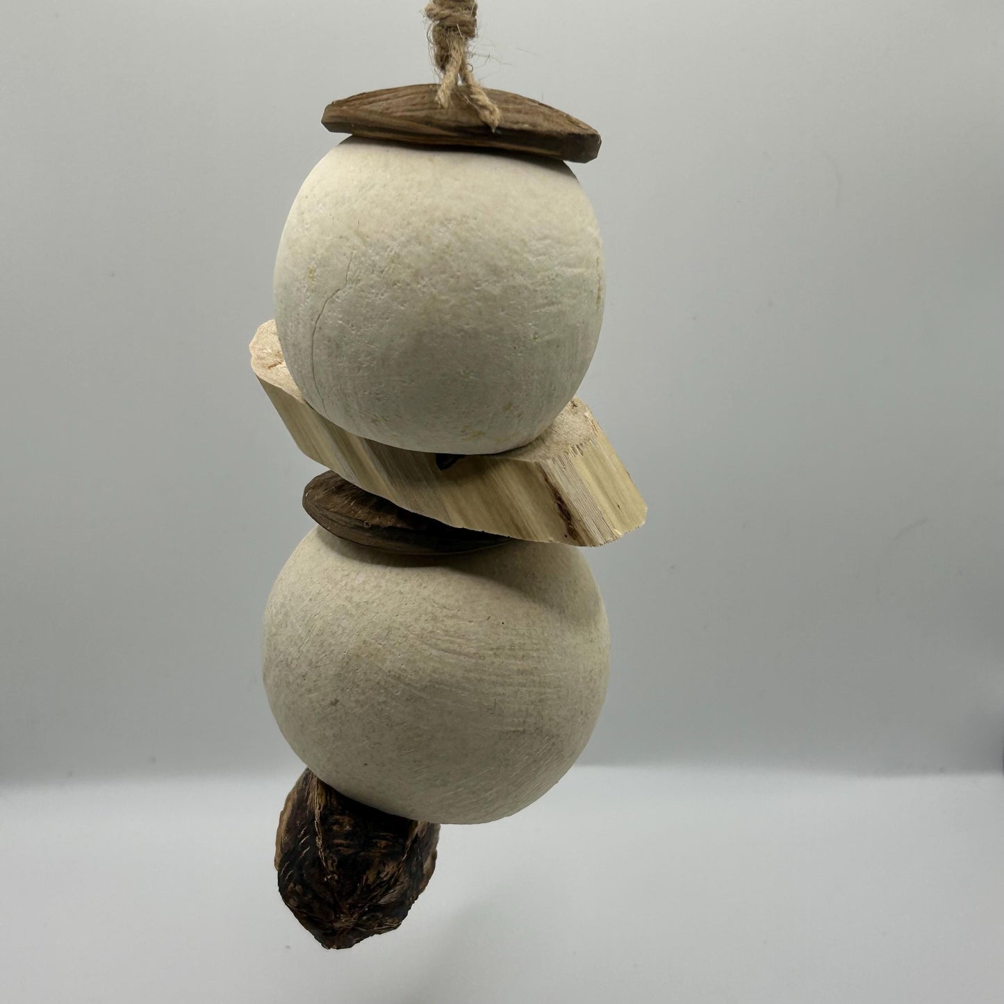 Small Animal Enrichment Toy: Coconut Shell, Yucca & Mahogany Pod