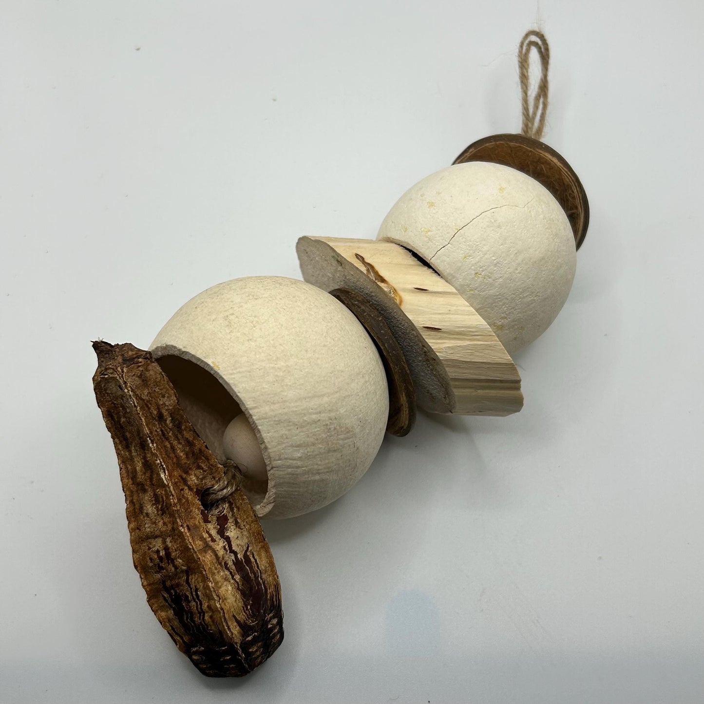 Small Animal Enrichment Toy: Coconut Shell, Yucca & Mahogany Pod