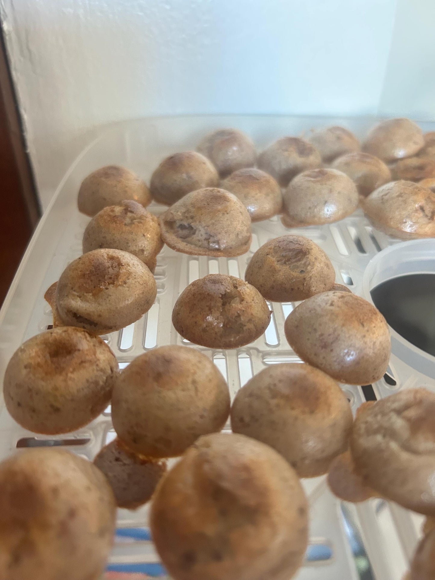 Rat Treats - Strawberry Pies, organic and delicious treats for pet rats, 10 per order