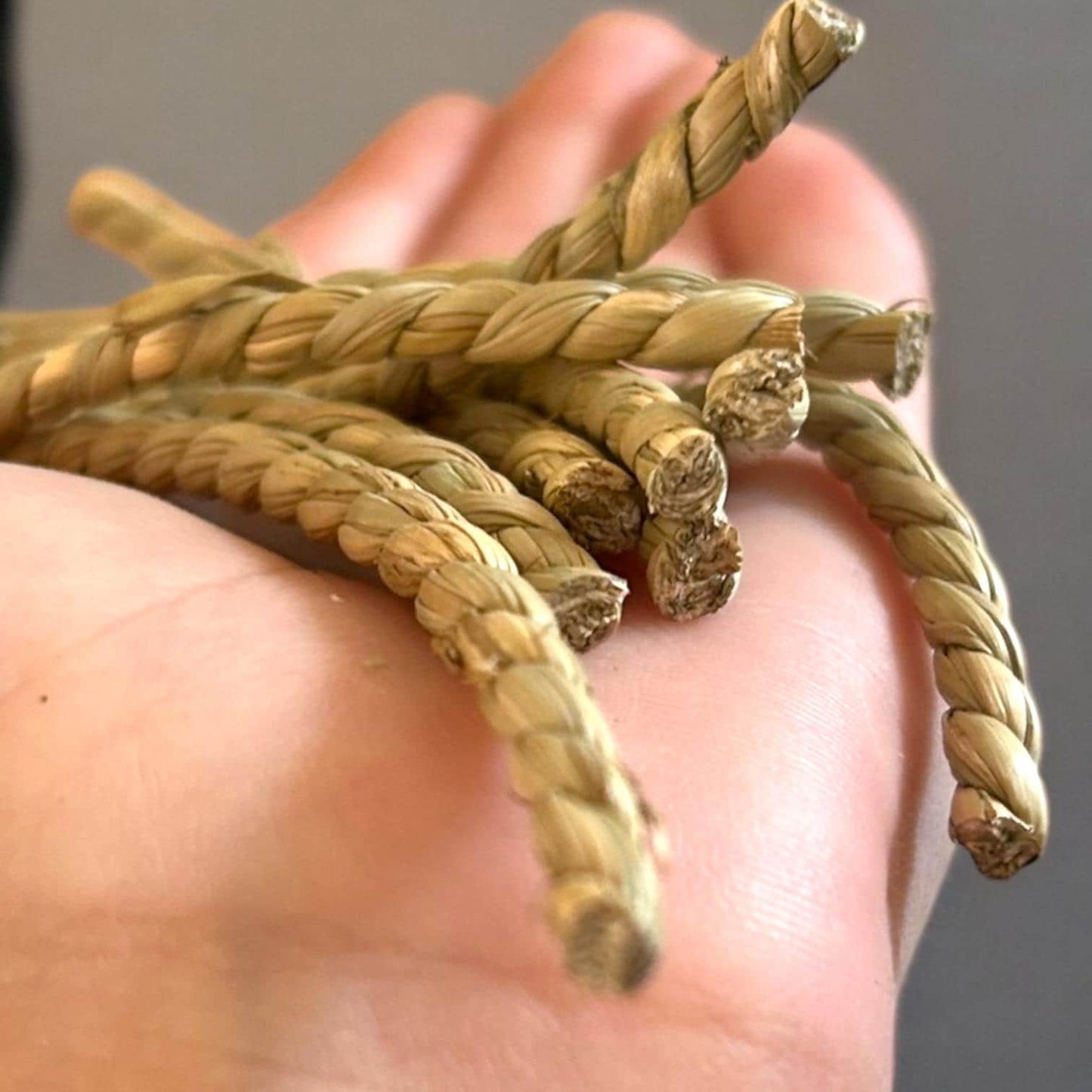 Natural Seagrass Twist Bundle - 10x individual 4inch twists included - Now 3/16 inches Wide