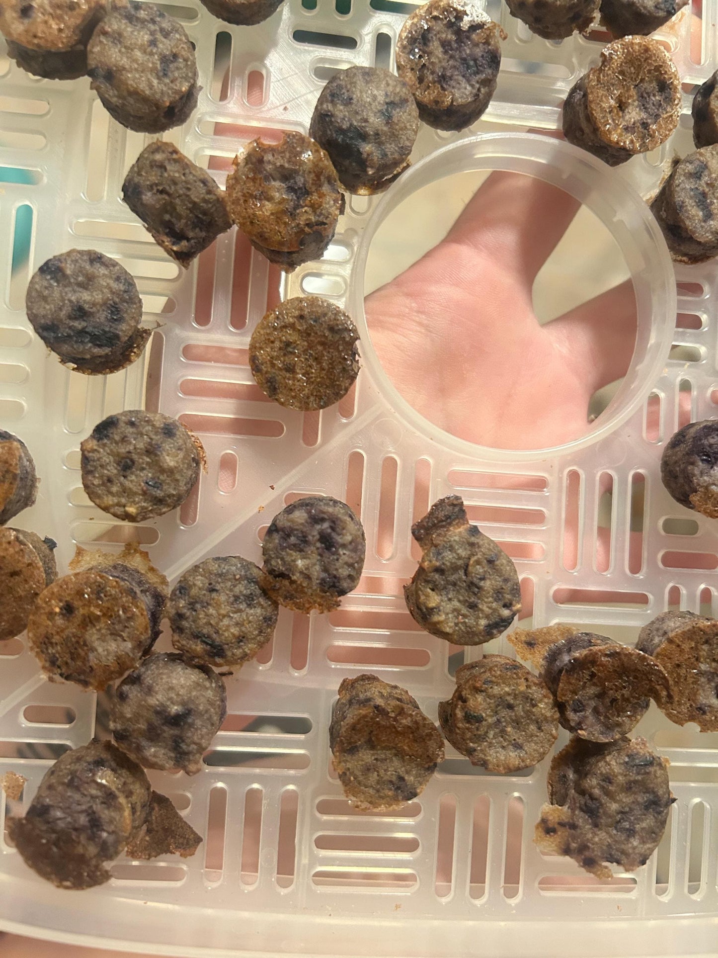 Organic Blueberry Oatmeal Rat Treats: Gluten-Free, Human Grade