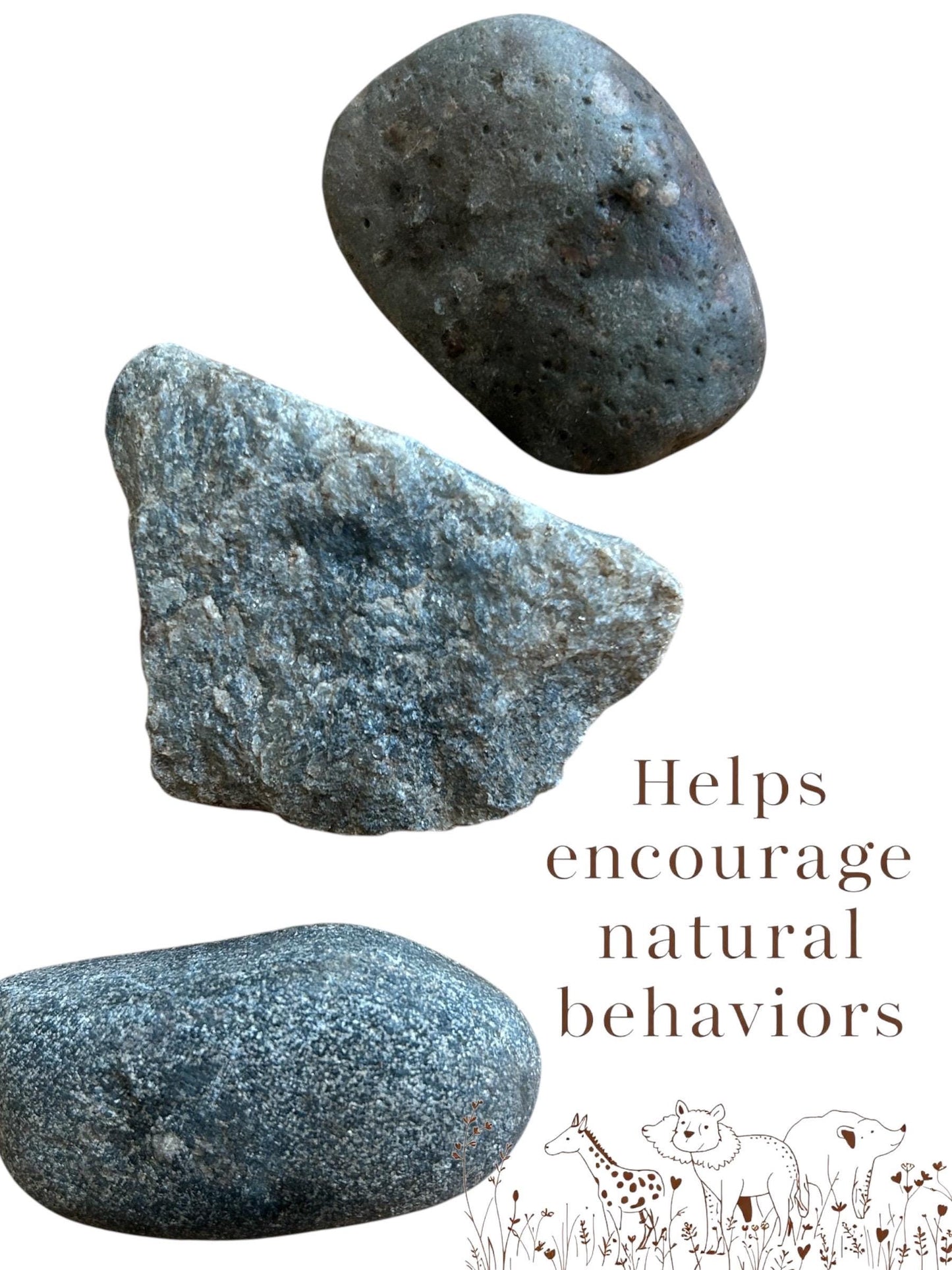 Rat Pee Rocks: Urine Training Set - Cage Enrichment (Set of 3)