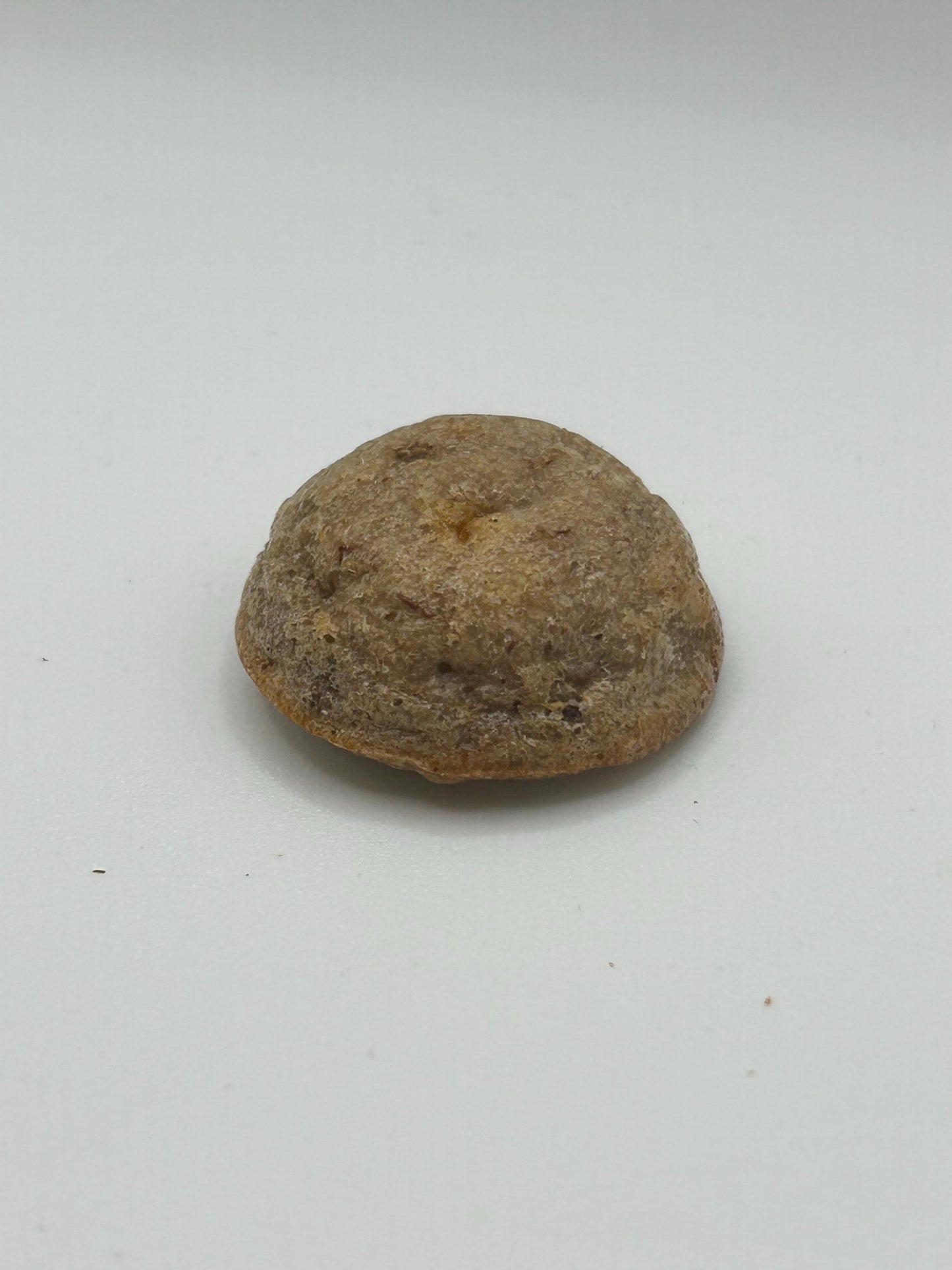 Rat Treats - Strawberry Pies, organic and delicious treats for pet rats, 10 per order