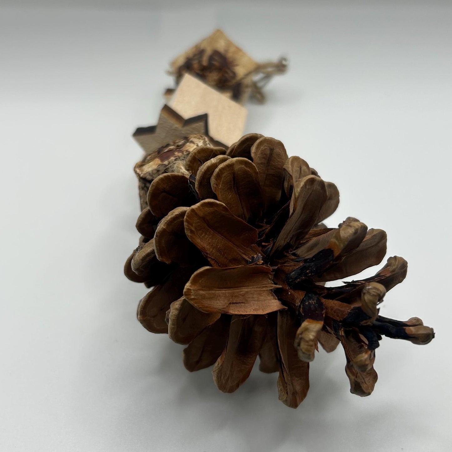 Natural Small Animal Toy, enrichment toy, boredom breaker