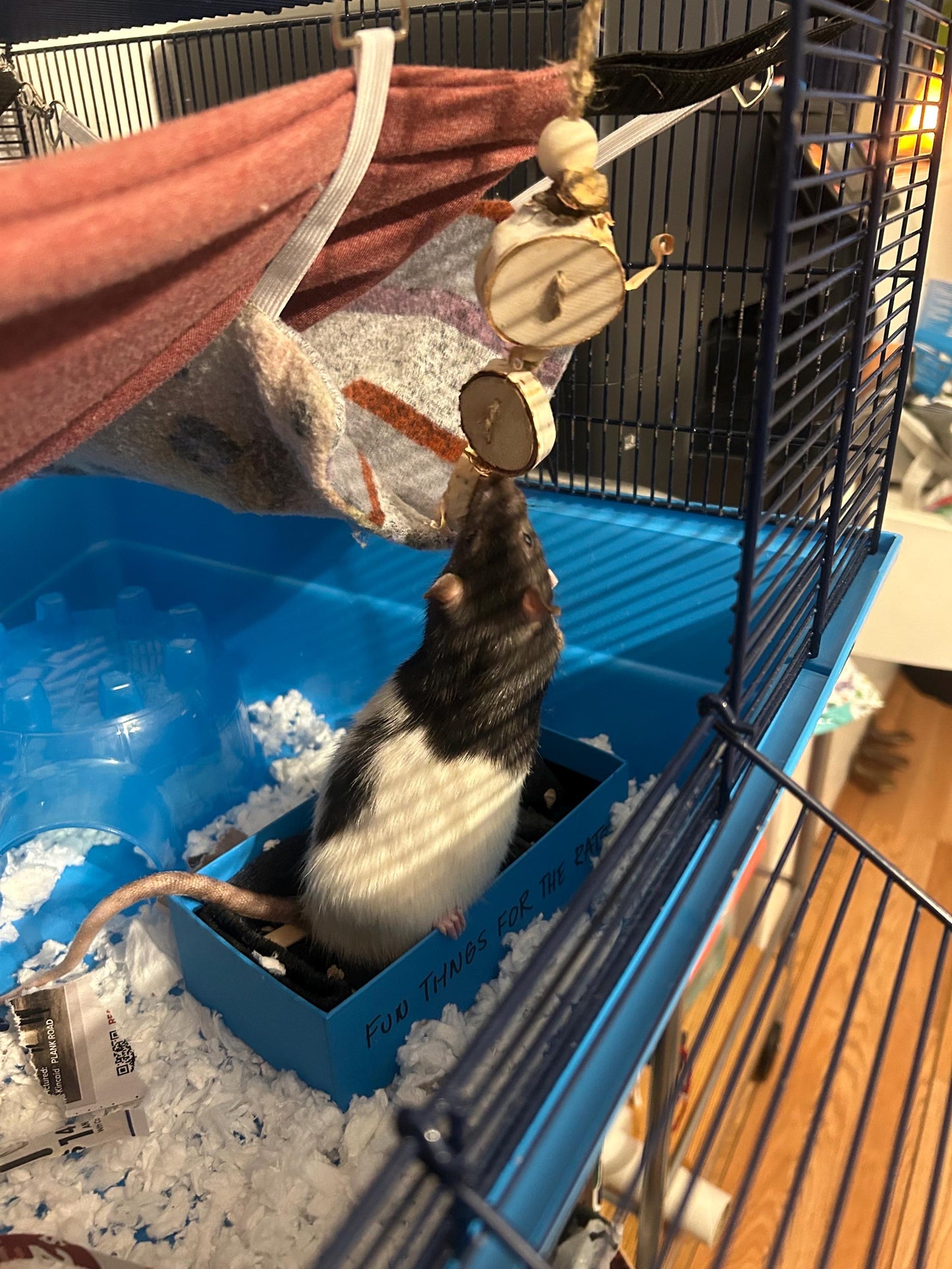 Small Animal Chew Toy