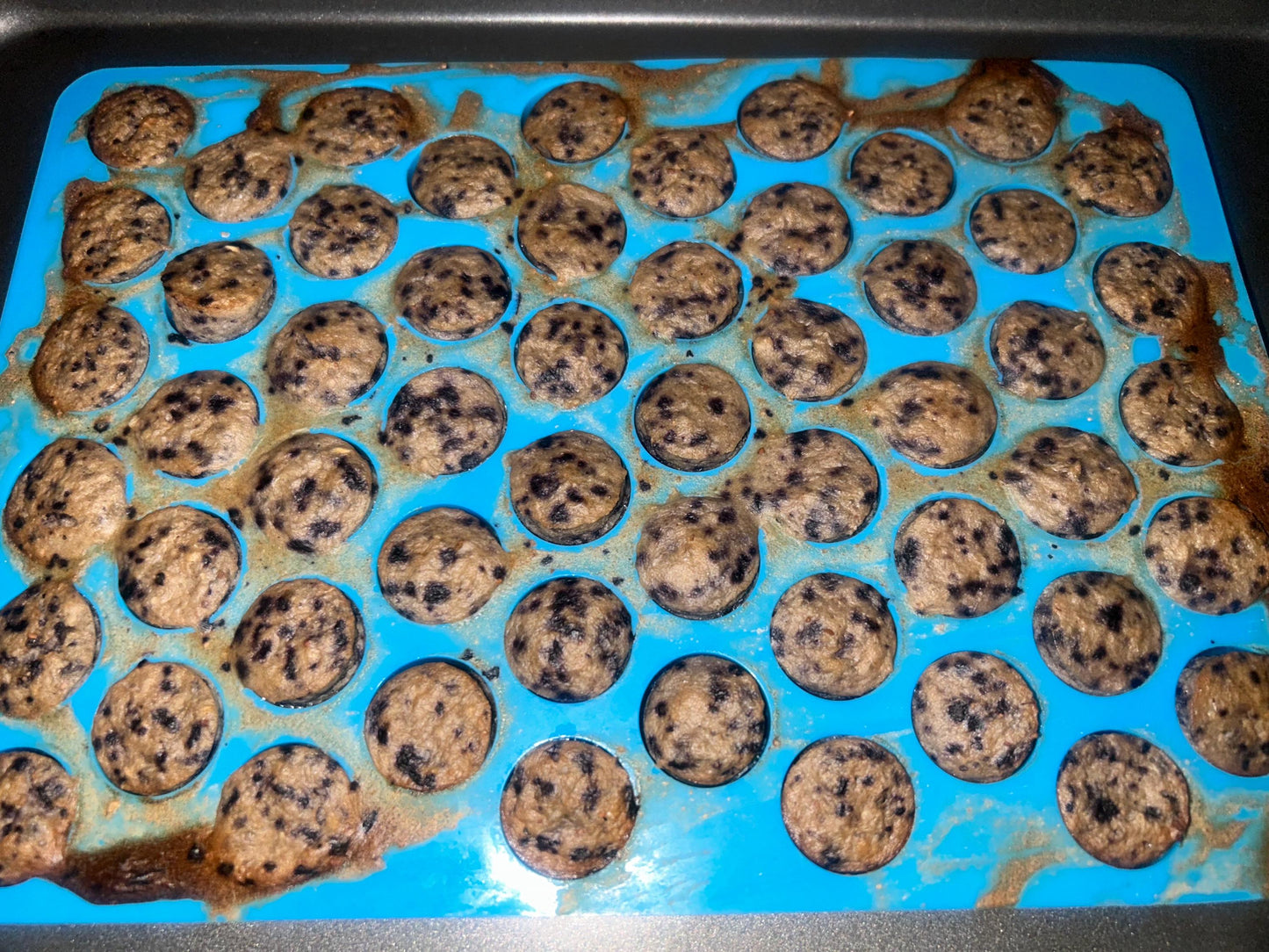 Organic Blueberry Oatmeal Rat Treats: Gluten-Free, Human Grade