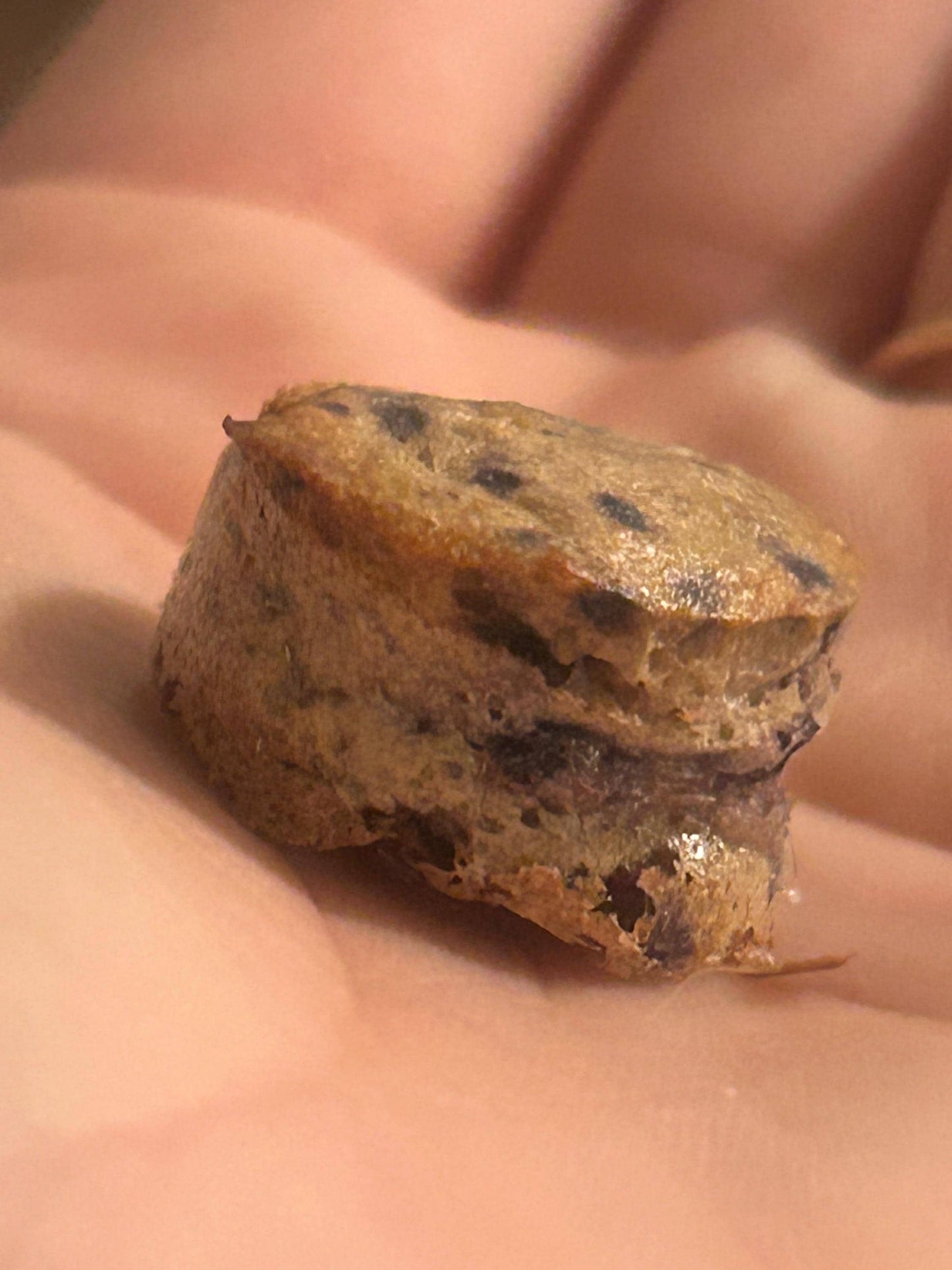 Organic Blueberry Oatmeal Rat Treats: Gluten-Free, Human Grade