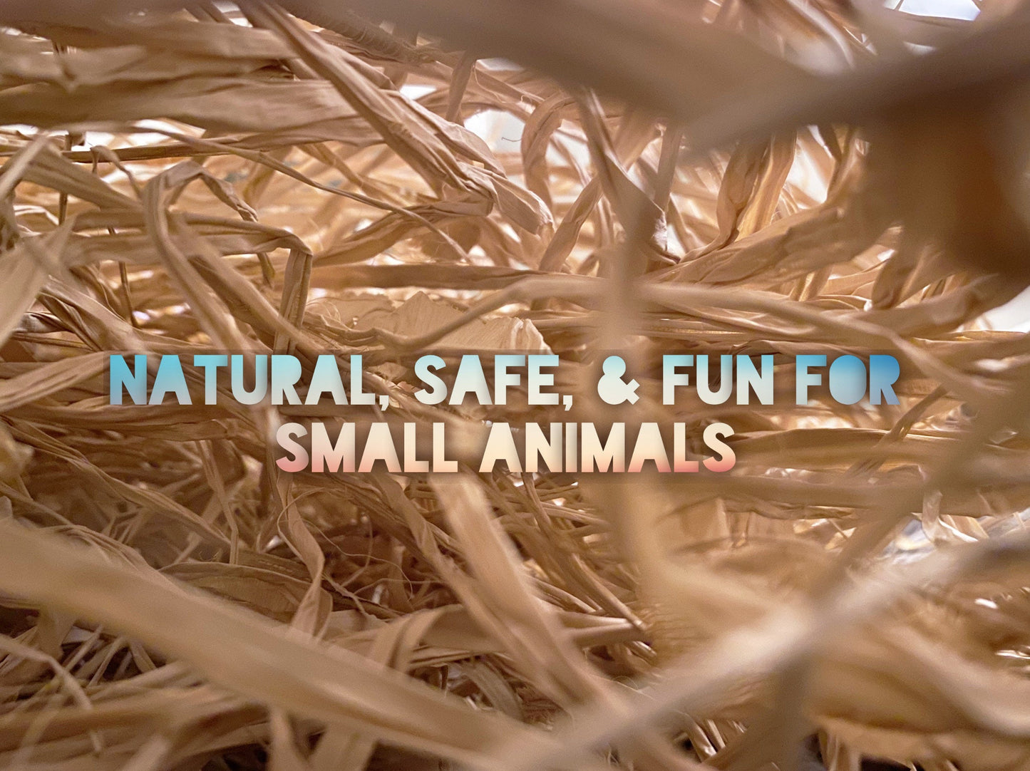 Natural Raffia Small Animal Toy: Braided Enrichment Chew Stick (4")