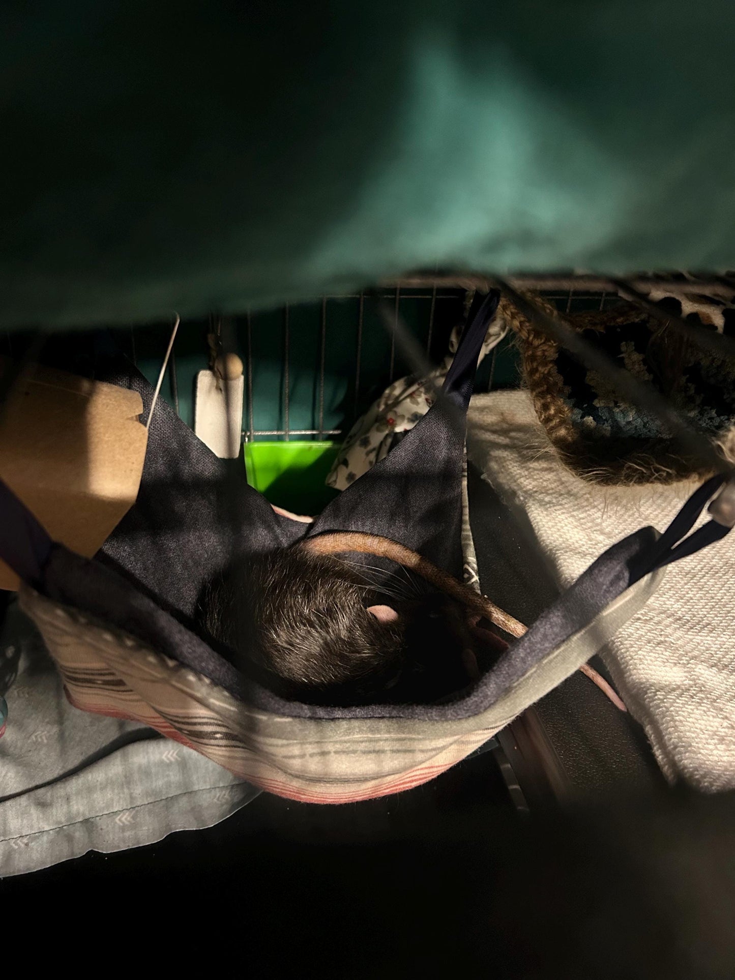 Random Small Animal Hammock - reversible hanging hammock with loops, 9x9 inches