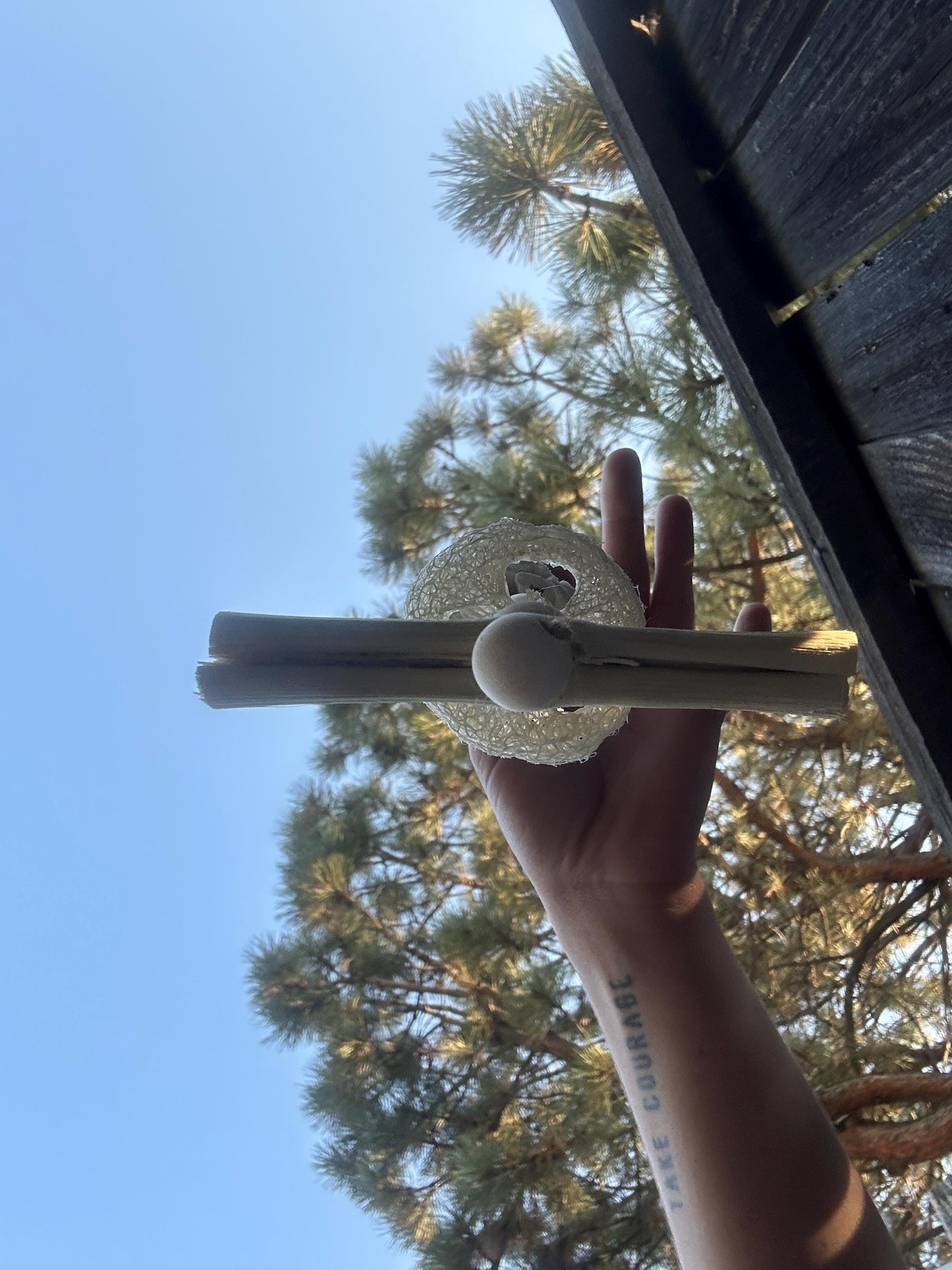 Natural Bamboo Small Animal Chew Toy: Loofah & Sola Ball