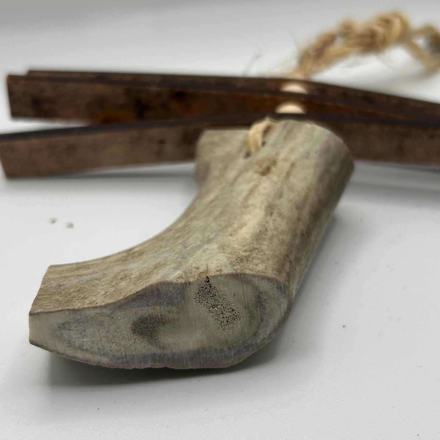 Rat Toy, a toy made just for rats, durable and tough chewing, with antler