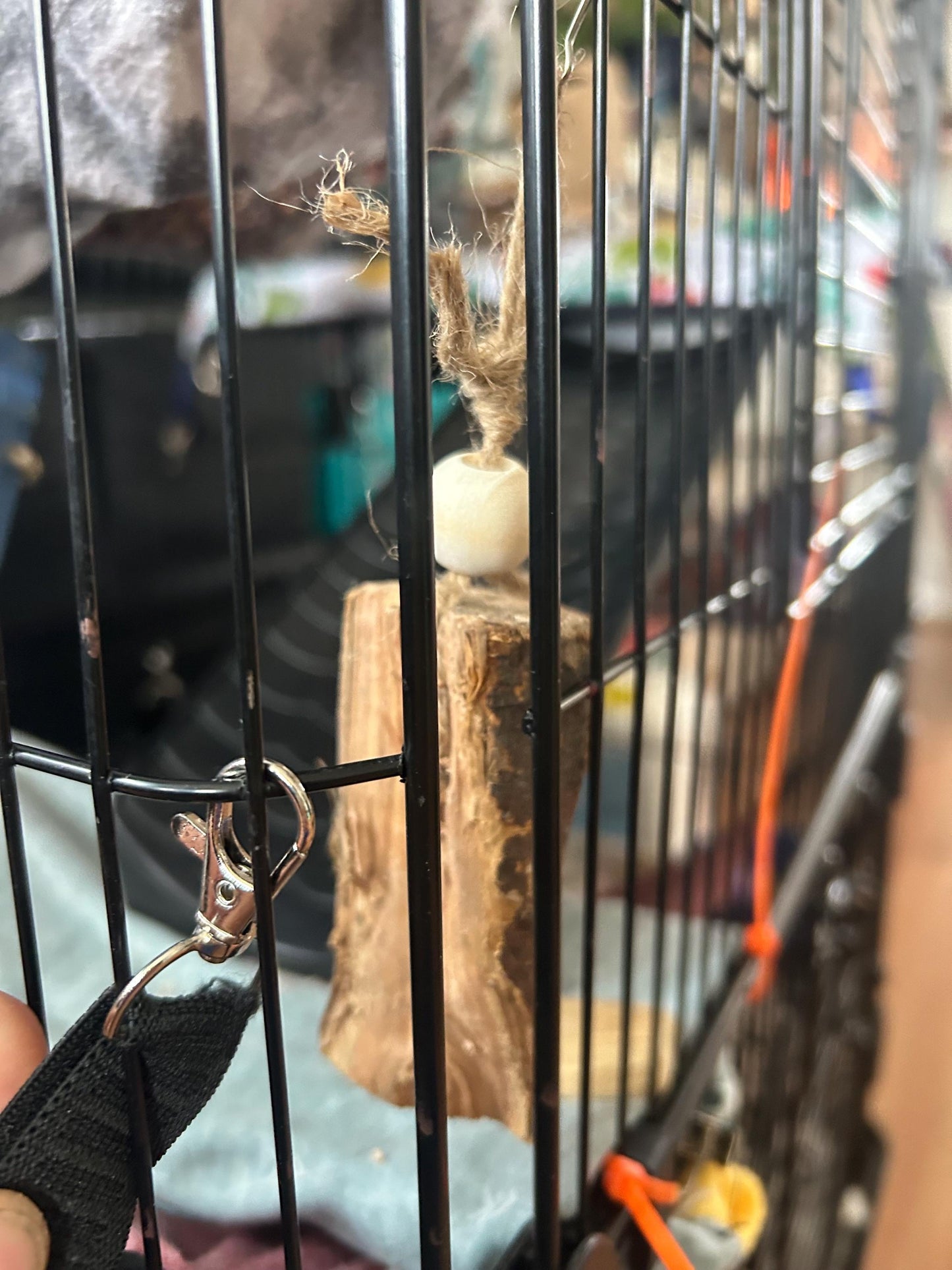 Apple Wood Chunk Chew Toy: Small Animal Cage Hanging Toy