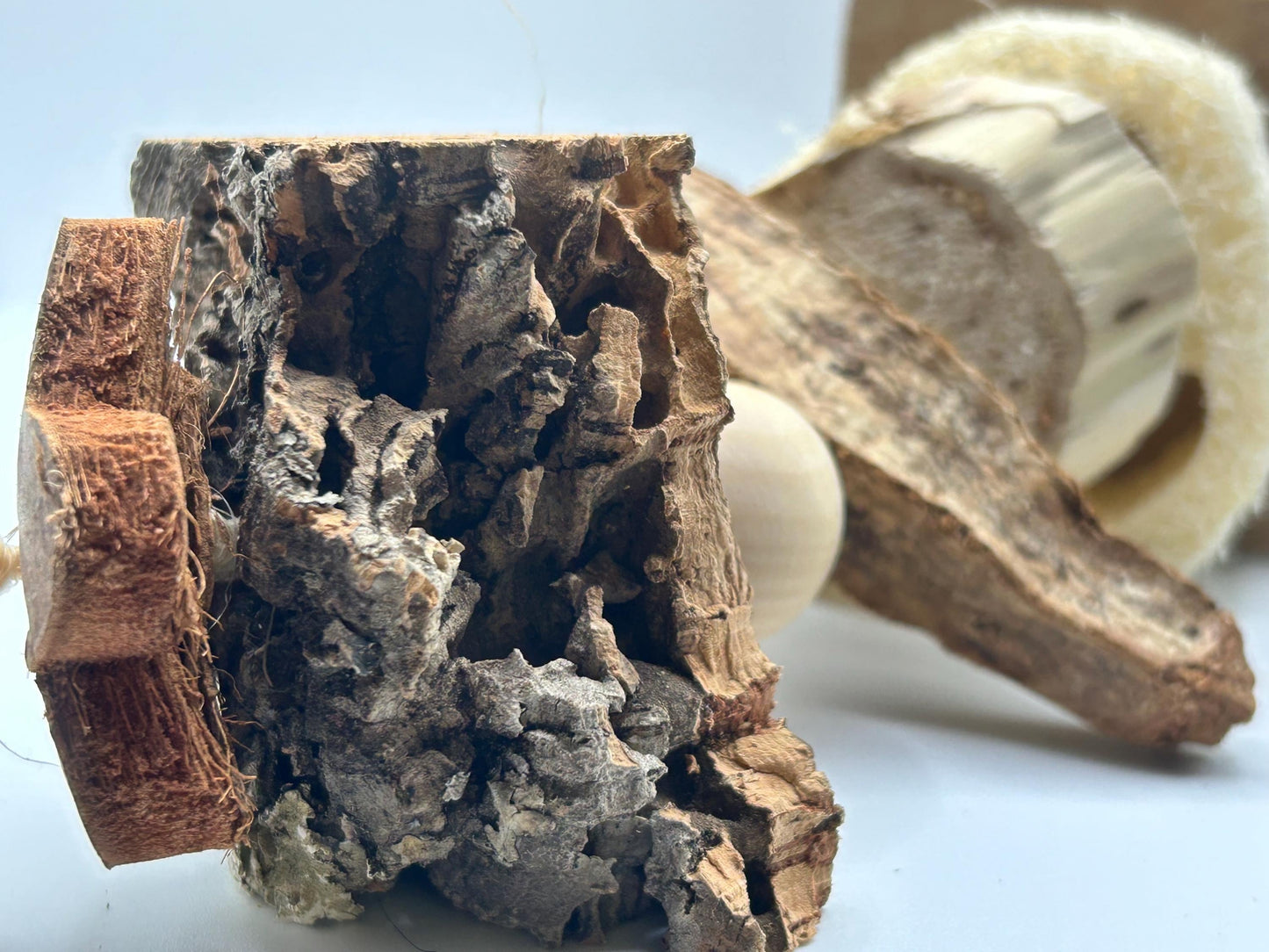 XL Small Animal Enrichment Toy: Natural Chew, Cork, Loofah