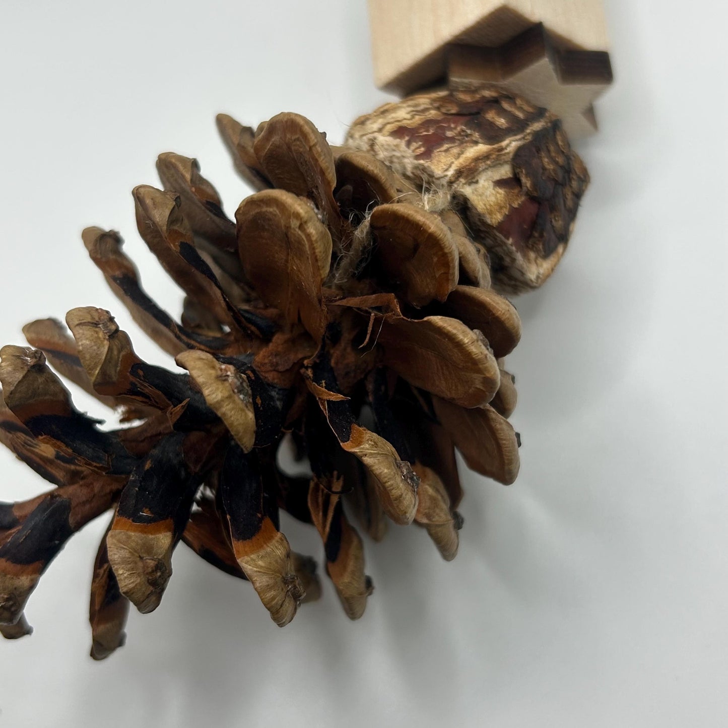 Natural Small Animal Toy, enrichment toy, boredom breaker