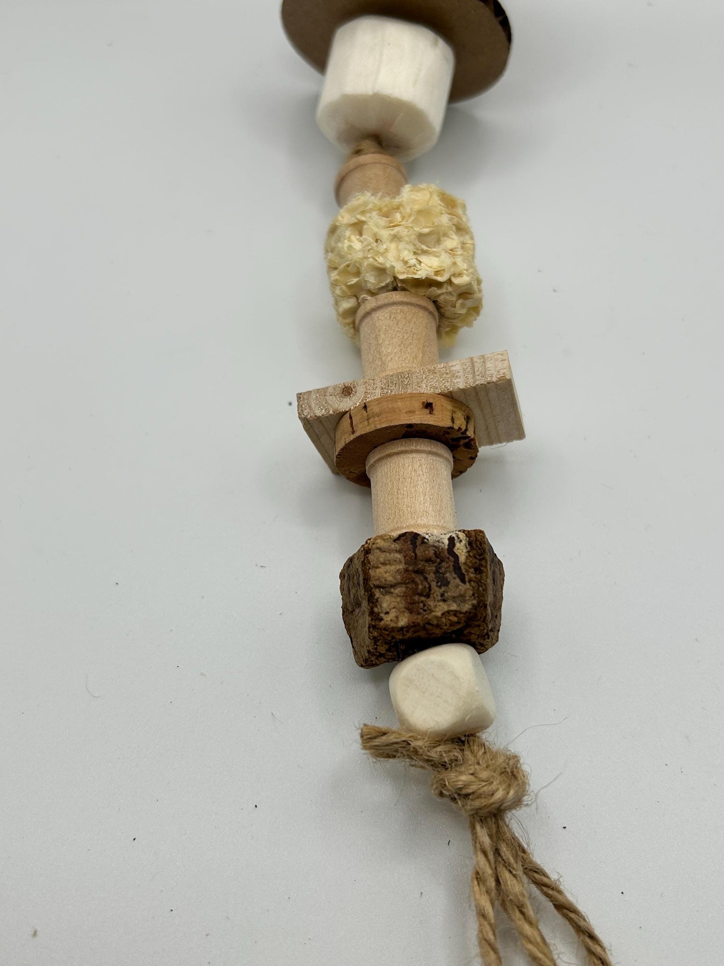 Chew Toy for Mouse, Hamster: Natural Enrichment for pet mice