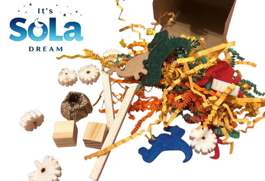 Rat Forage Box: Enrichment Toy with Natural Chews “The Original Rat Forage Box”
