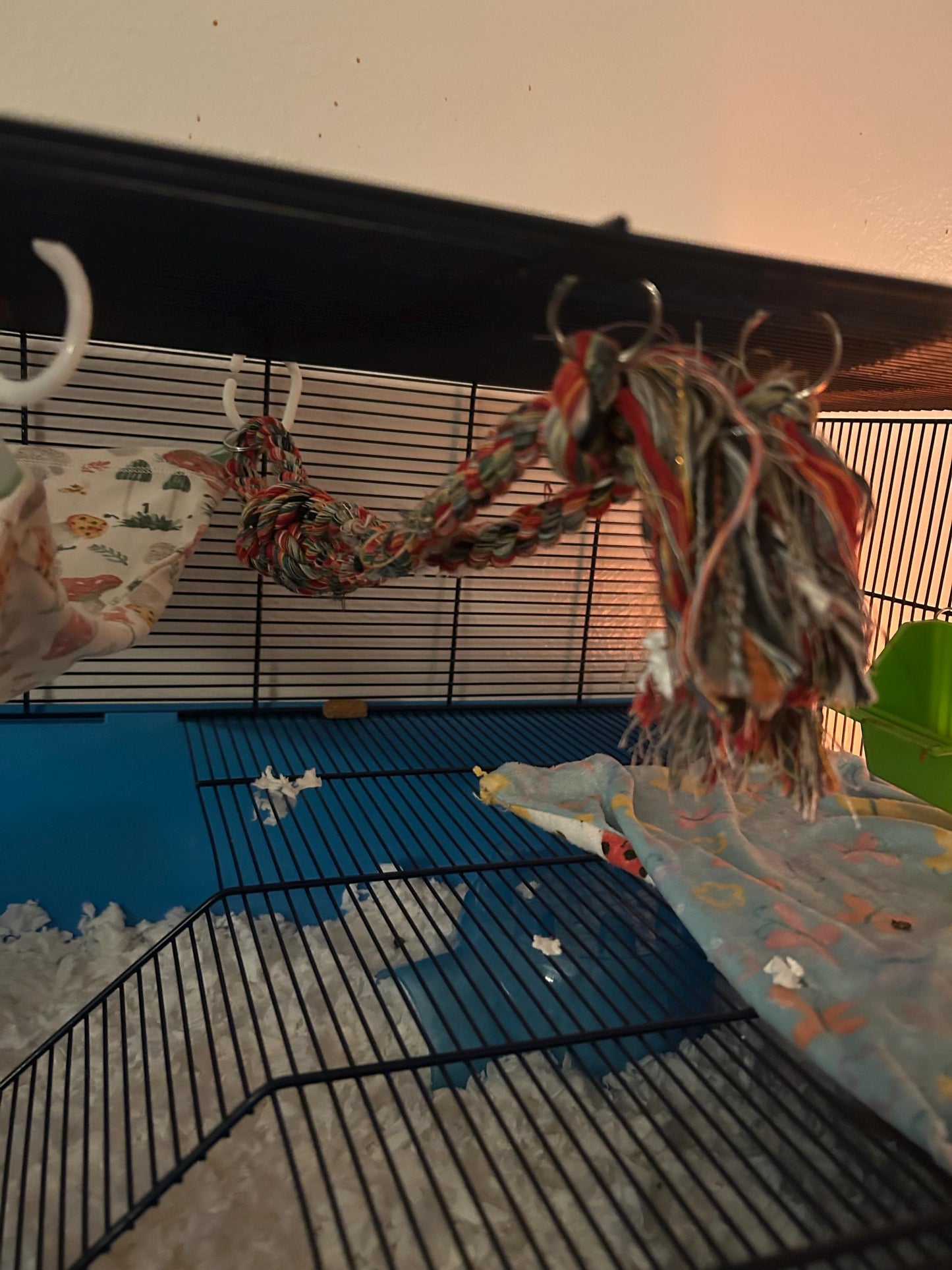 Hanging Rope Toy for Rats, Sugar Gliders, Mice, Small Ferrets