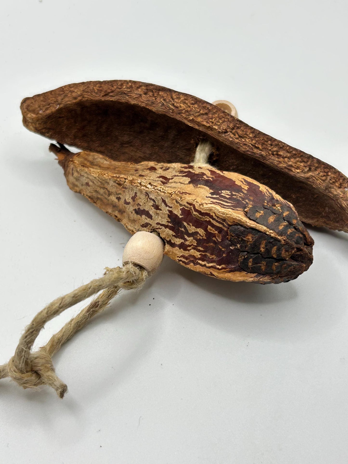 The Mahogany Pod Toy for Small Animals