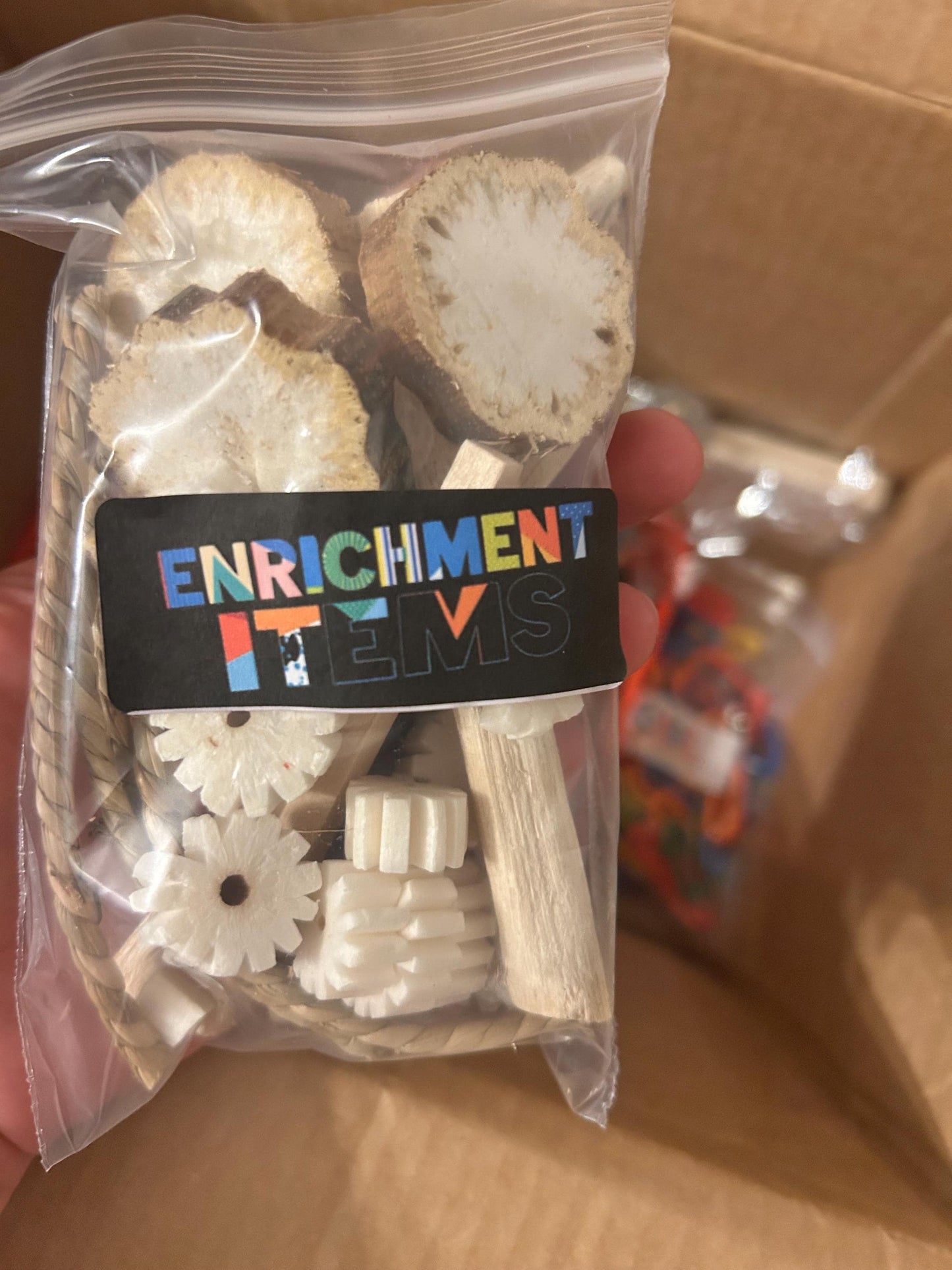 Advanced Pet Rat Kit