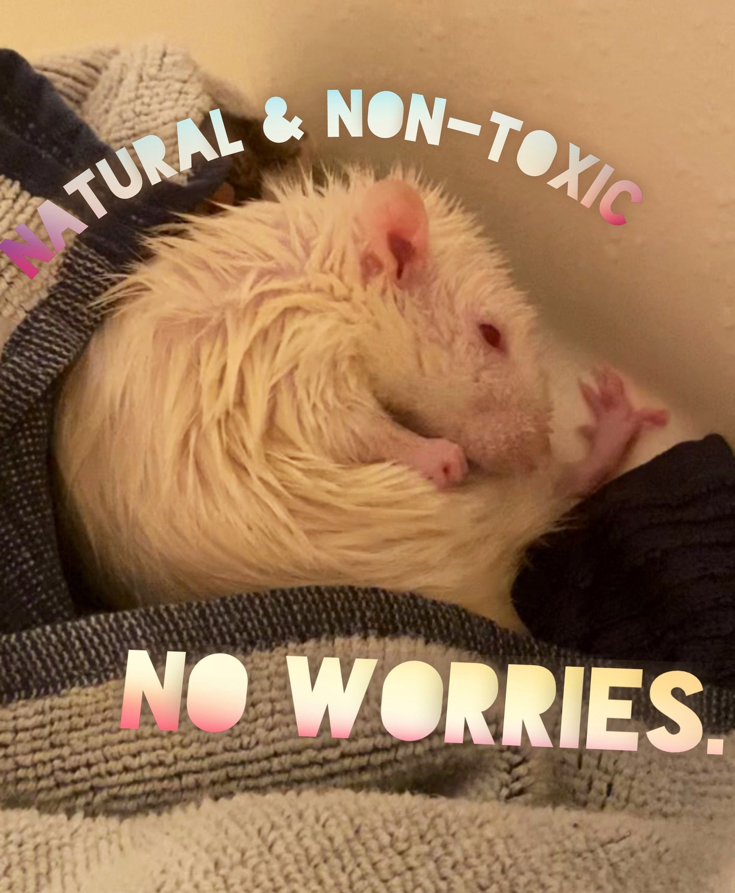 Rat Soap, Frankensince & Calendula Oil, non-toxic, safe, the original natural soap designed for rats
