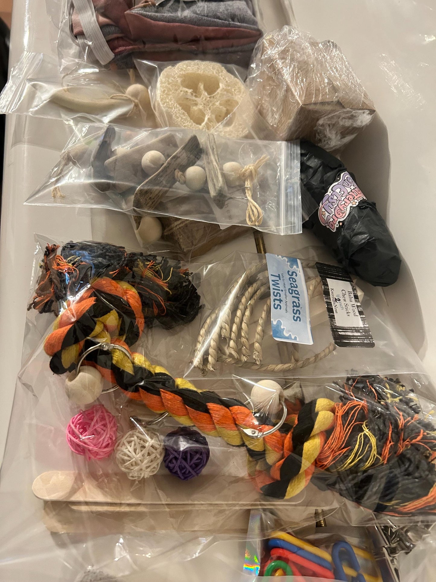 Starter Pet Rat Kit