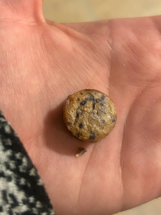 Organic Blueberry Oatmeal Rat Treats: Gluten-Free, Human Grade