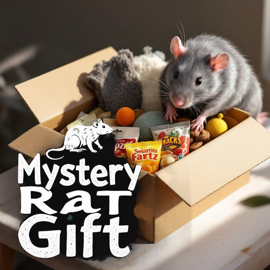 Mystery Rat Gift Box, could include toys, treats, and hammocks