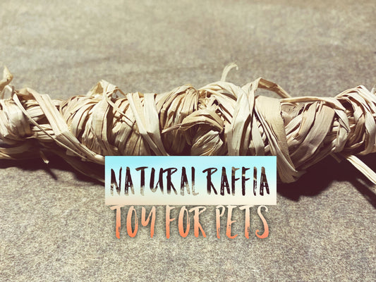 Natural Raffia Small Animal Toy: Braided Enrichment Chew Stick (4")