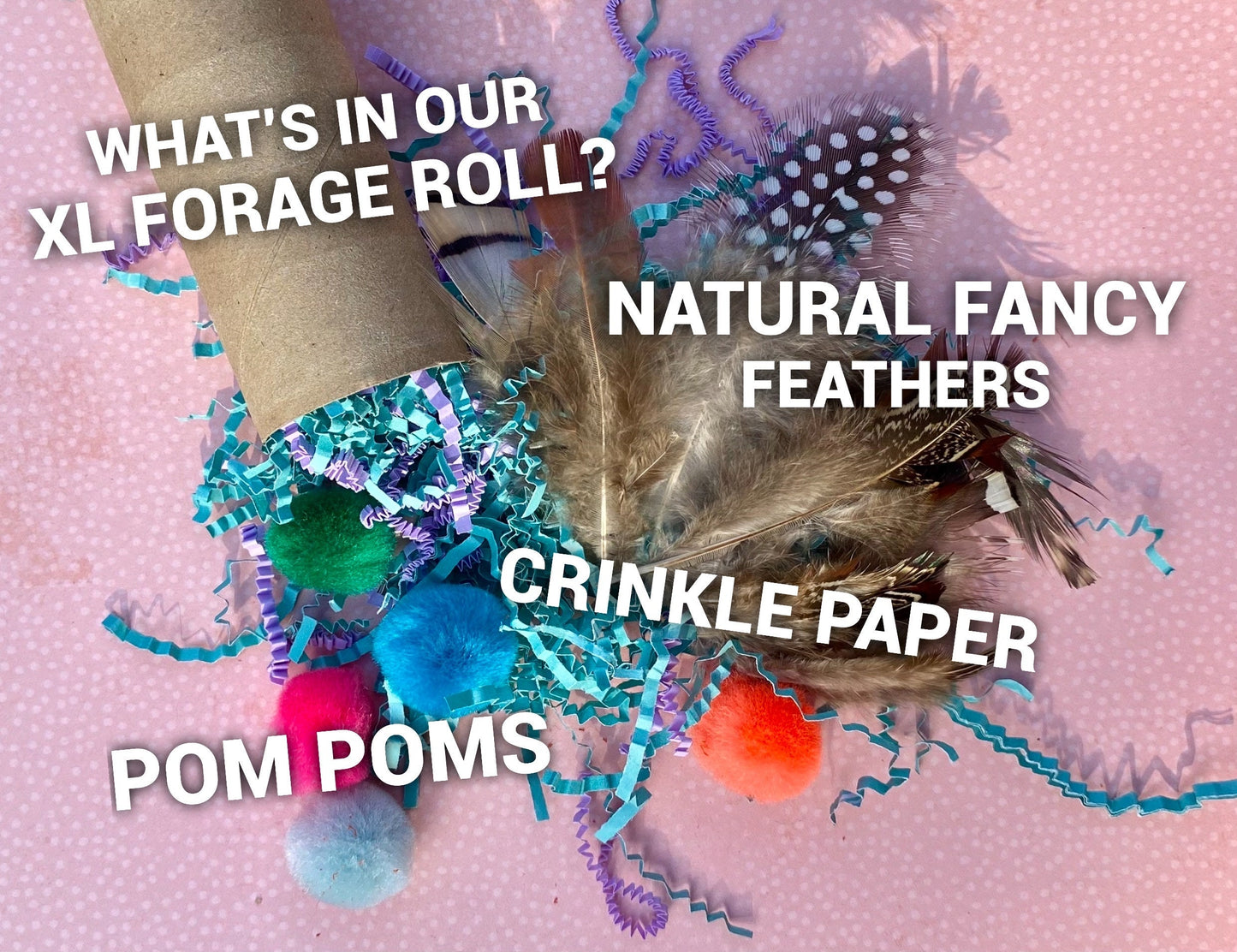 XL Rat Forage Roll Toy: Boredom Buster with Feathers
