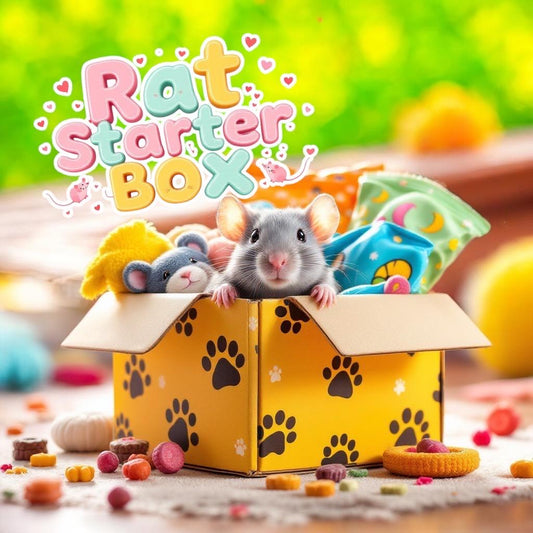 Starter Pet Rat Kit