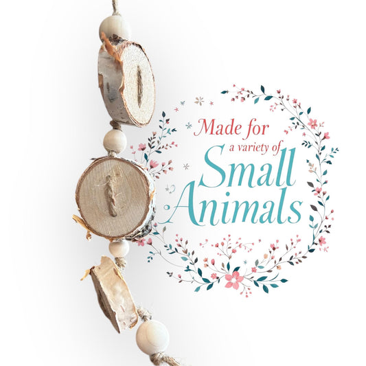 Small Animal Chew Toy